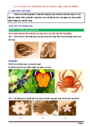 Đề cương ôn tập môn Toán Lớp 6 (Sách Chân trời sáng tạo) - Chương 7 - Bài 4: Vai trò của tính đối xứng trong thế giới tự nhiên Đề cương ôn tập môn Toán Lớp 6 (Sách Chân trời sáng tạo) - Chương 7 - Bài 4: Vai trò của tính đối xứng trong thế giới tự nhiên