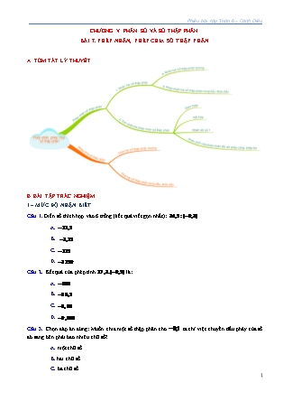 Phiếu bài tập Toán Lớp 6 (Sách Cánh Diều) - Bài 7: Phép nhân, phép chia số thập phân