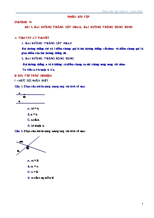 Phiếu bài tập Toán Lớp 6 (Sách Cánh Diều) - Chương VI - Bài 2: Hai đường thẳng cắt nhau, hai đường thẳng song song Phiếu bài tập Toán Lớp 6 (Sách Cánh Diều) - Chương VI - Bài 2: Hai đường thẳng cắt nhau, hai đường thẳng song song