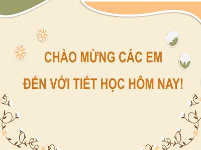 Bài giảng Công nghệ 6 (Cánh diều) - Chủ đề 3: Trang phục và thời trang - Bài 8: Các loại vải thường dùng trong may mặc - Trường THCS Xương Giang