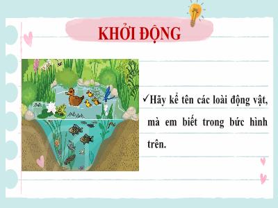 Bài giảng Khoa học tự nhiên Lớp 6 (Sinh học) Sách Kết nối tri thức - Bài 36: Động vật - Nguyễn Thanh Phương