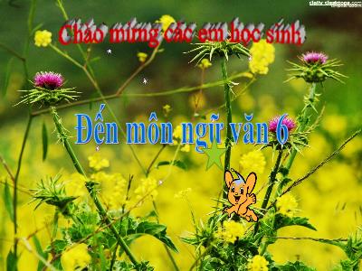 Bài giảng Ngữ văn 6 - Tiết 15: Nói và nghe: Kể lại một trải nghiệm của em - Trường THCS Xương Giang (Cánh diều)